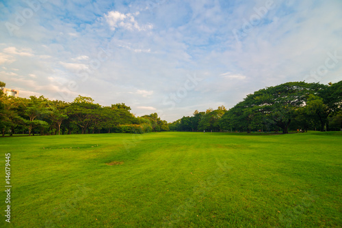 Fototapeta Naklejka Na Ścianę i Meble -  Green meadow grass in the park background