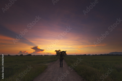 A sense of freedom expressed by a man during sunrise surrounding by nature.