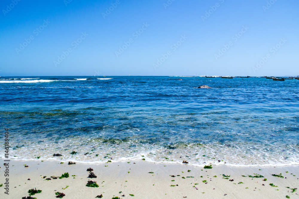 Wide view of the seashore with some seaweed at Algarrobo Chile