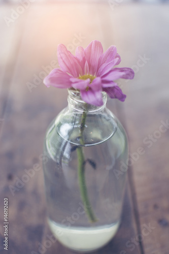 Flower Chrysanthemum in the glass bottle on the wooden table, focus in the centre of flower