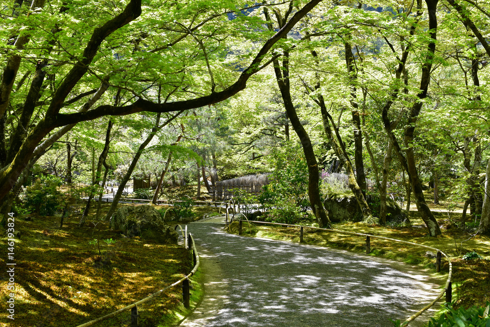 新緑の日本庭園