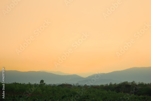 sunset cassava farm
