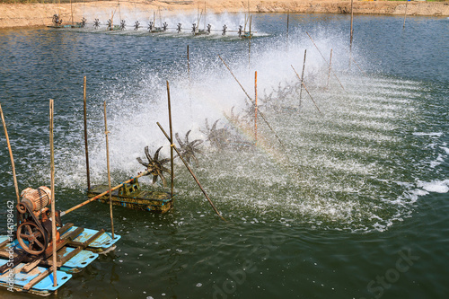 Surface aerator for in shrimp farm