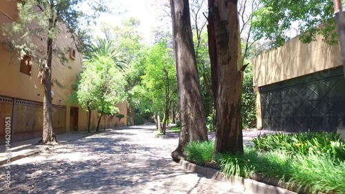 Street - San Angel - Mexico city