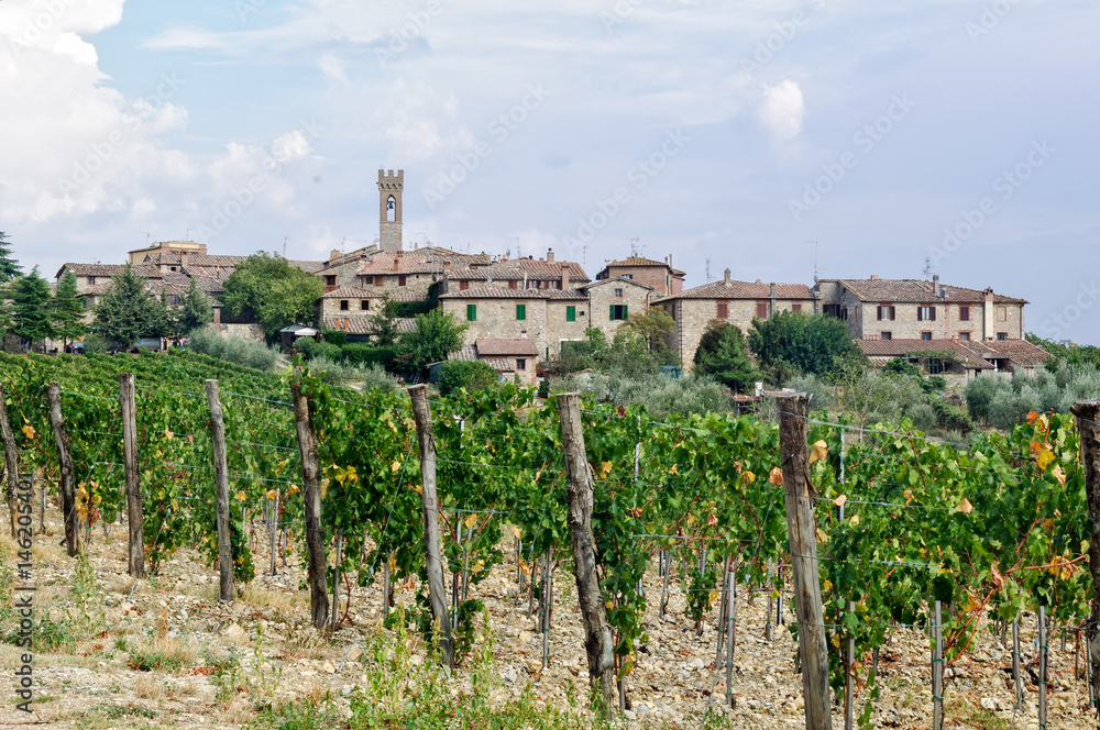 Vineyard below the hilltop village of Villa a Sesta in Chianti, Tuscany, Italy