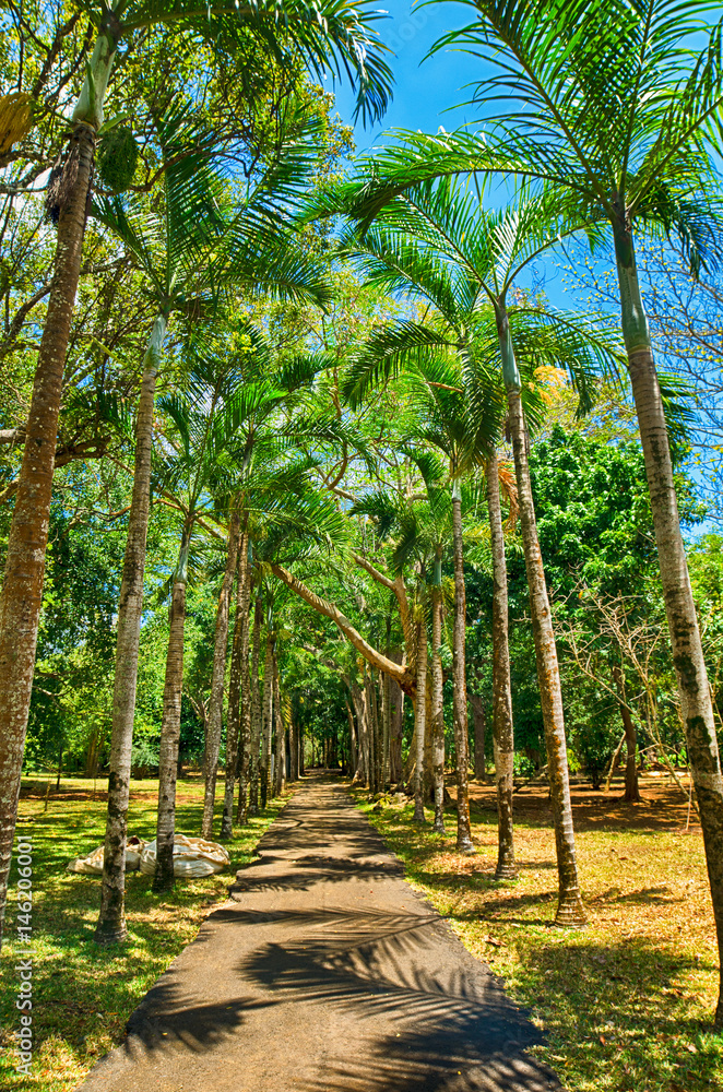 Pamplemousses botanical garden, Mauritius Pamplemousses botanical garden, Mauritius