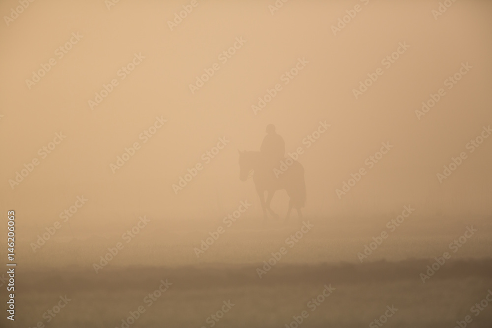 silhouette of rider with horse in the morning dust
