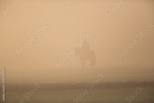 silhouette of rider with horse in the morning dust