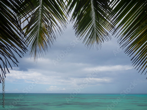 Nature Landscape Tropical Background Holiday Travel Design. BAYAHIBE, DOMINICAN REPUBLIC