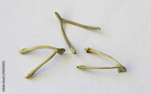 Canvastavla Chicken wishbone