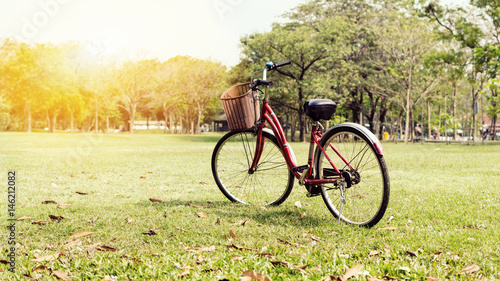 Bicycle on green grass in the park
