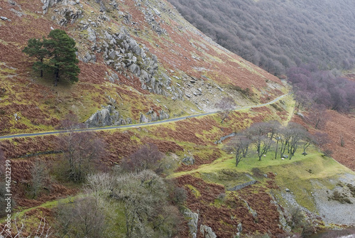 Colorful landscape in Elan Valley photo