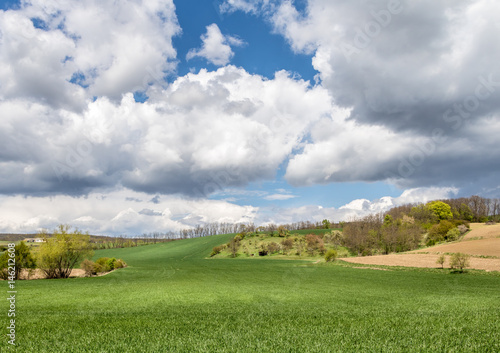Spring landscape with green fields and blue sky