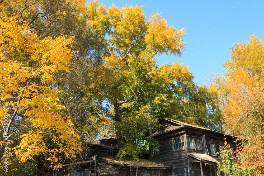 Colorful autumn trees with old house on sunny day Colorful autumn trees with old house on sunny day