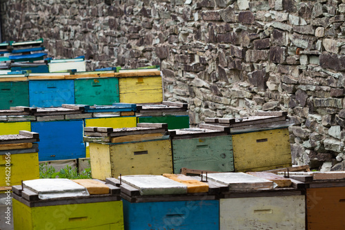 beehives near a stone wall © macondos