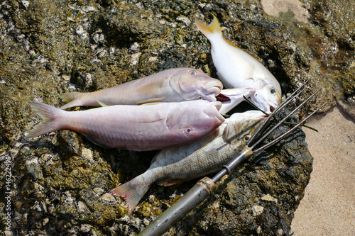 Sea Gypsies hunting fish with harpoon