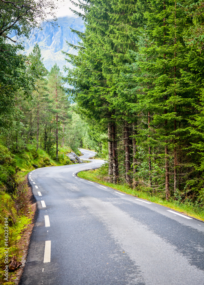 Obraz premium Scenic winding road through fir forest in Norway