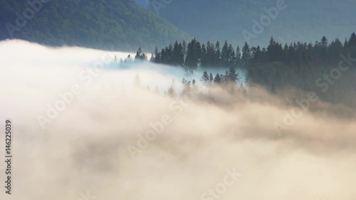 Mist and fog in mountain forest landscape time laspe photo