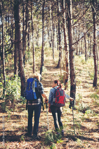 Young couple hiking at the pine forest.
