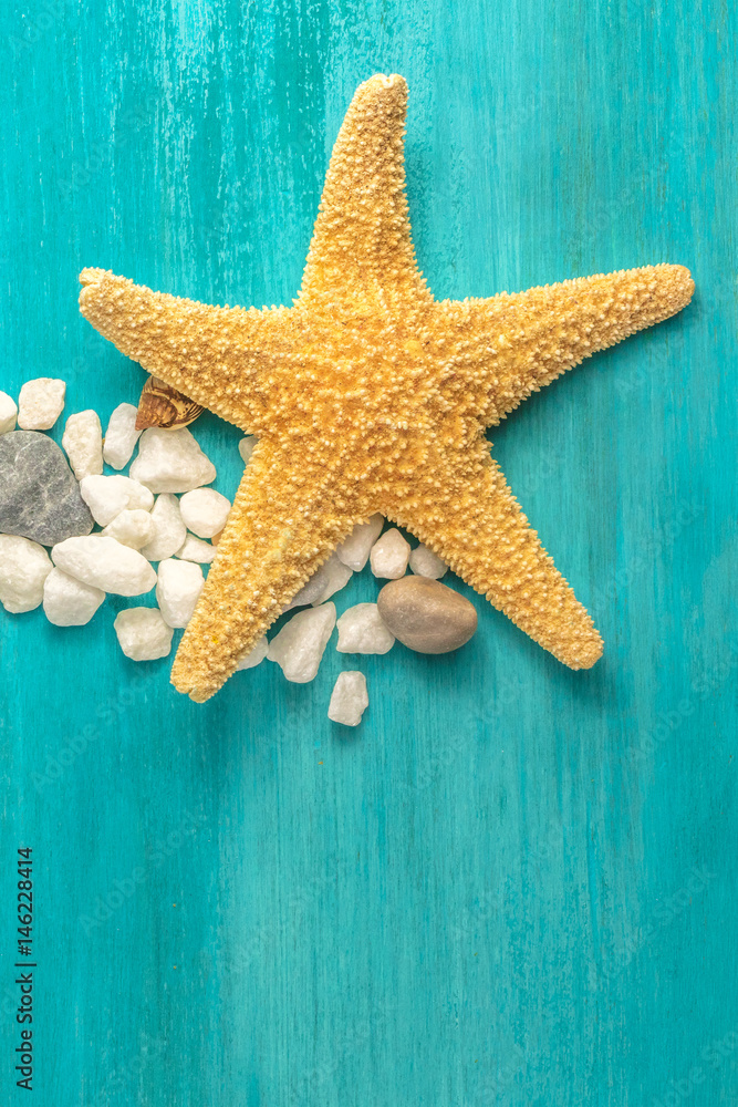 Starfish, shells, and pebbles on vibrant turquoise background Starfish, shells, and pebbles on vibrant turquoise background