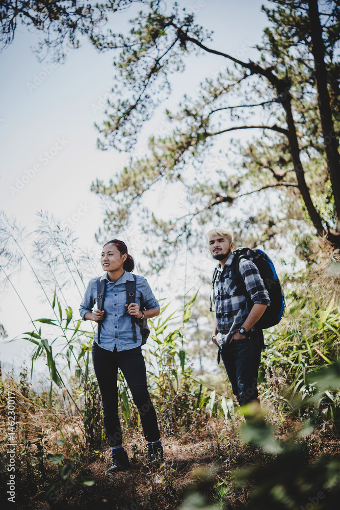 Couple young standing the middle of the forest on the hill and looking for something. Couple young standing the middle of the forest on the hill and looking for something.