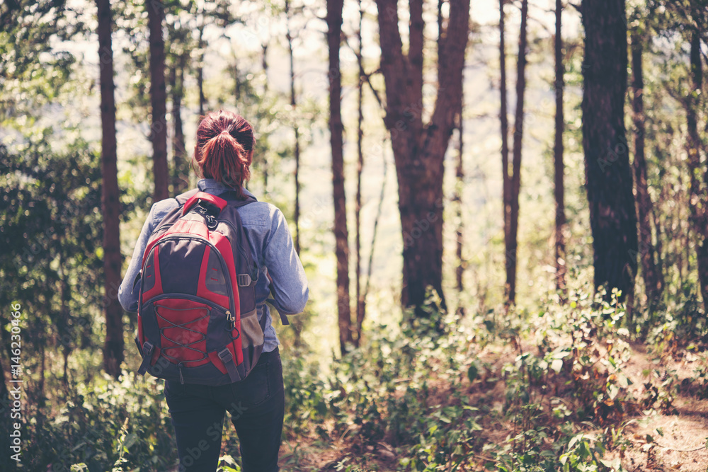Young girl walking in pine forset for go to target. Young girl walking in pine forset for go to target.