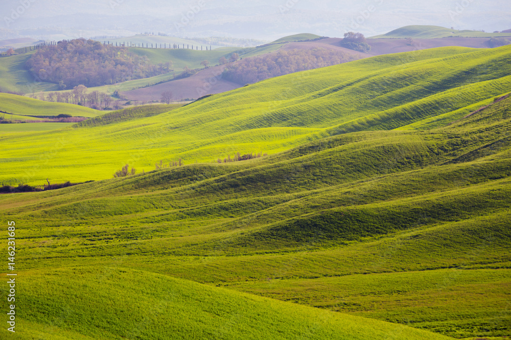 Typical Tuscan landscape - green waves