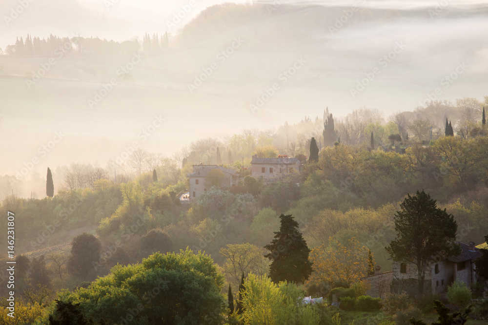 Fototapeta premium foggy morning at the Toscana