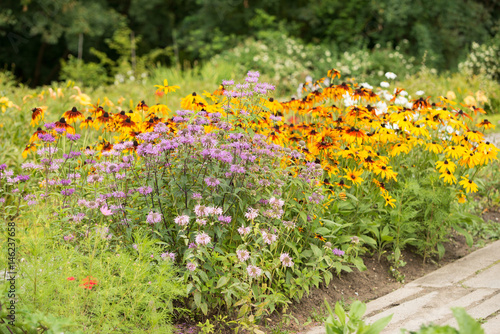 Cuadro en lienzo Flowers Monarda and Rudbeckia on the flowerbed