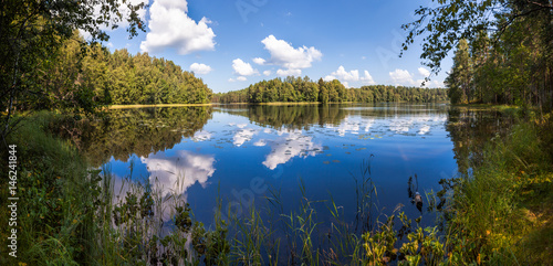 Summer forest lake panorama