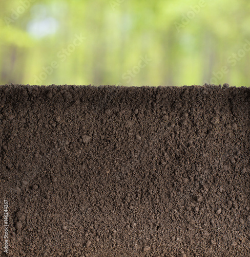 Soil or dirt underground se...