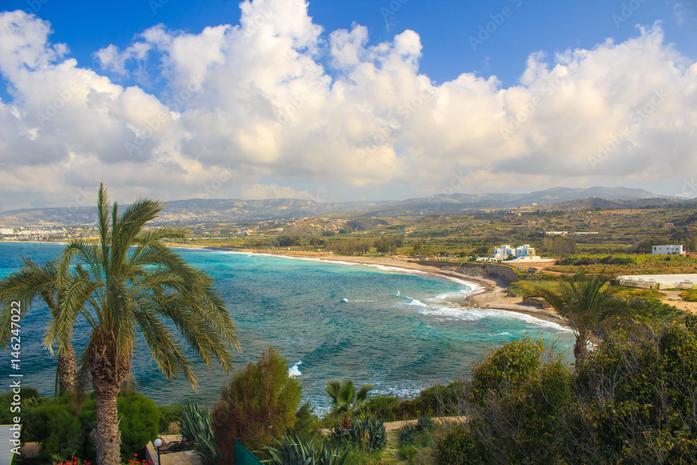 sea panorama to the coast with palms