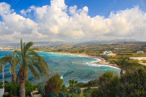sea panorama to the coast with palms