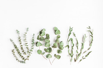 Dried eucalyptus. Various eucalyptus branches on white background. Flat lay, top view