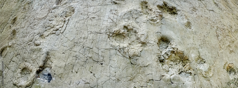 Fototapeta premium Fossile Fußabdrücke von Dinosauriern, Breitformat