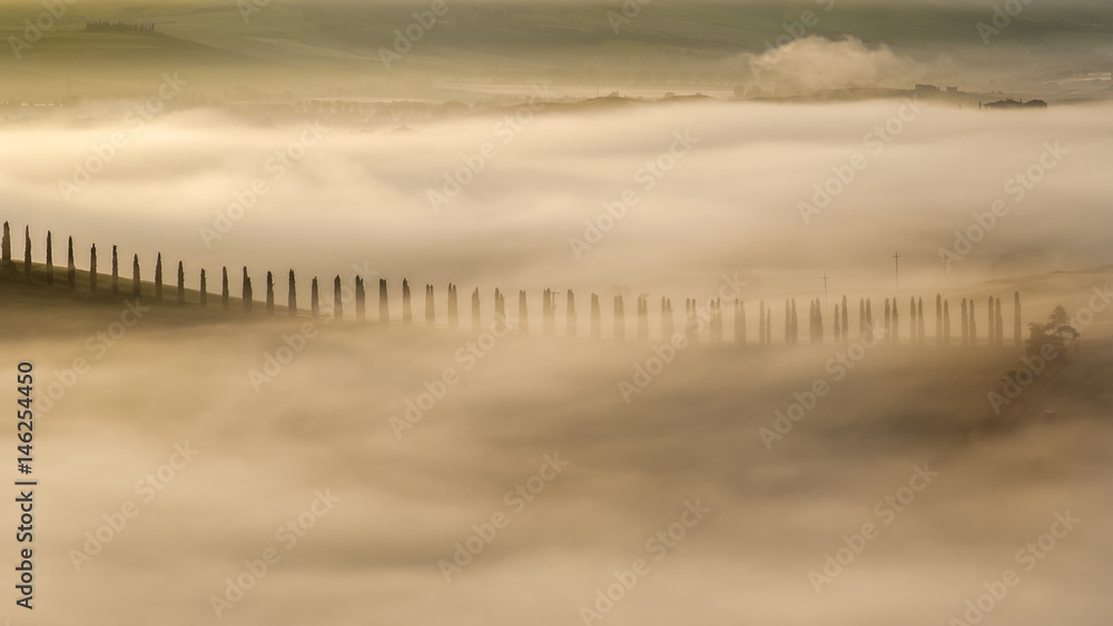 Fototapeta premium Mglisty poranek