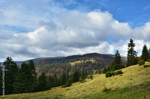 Fototapeta Naklejka Na Ścianę i Meble -  Mountain forest in late Autumn
