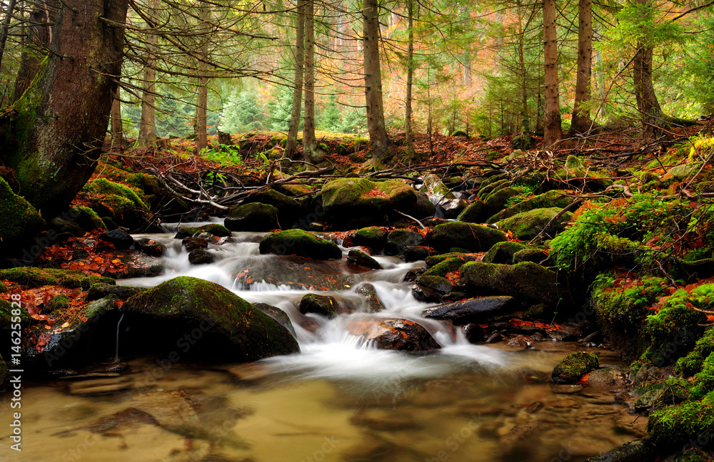 Mountain river in late Autumn, trees in background Mountain river in late Autumn, trees in background