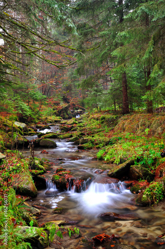 Mountain river in Autumn