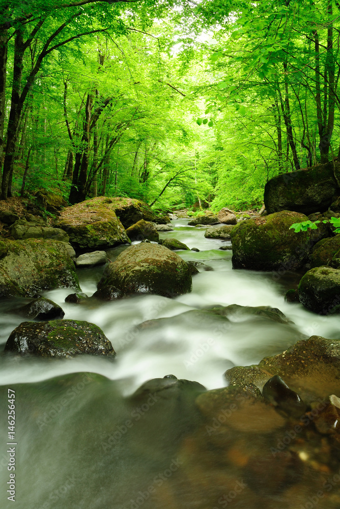 Mountain river flowing fast in a cloudy morning.