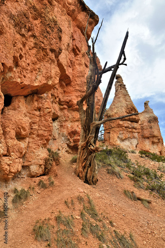 Bryce Canyon National Park