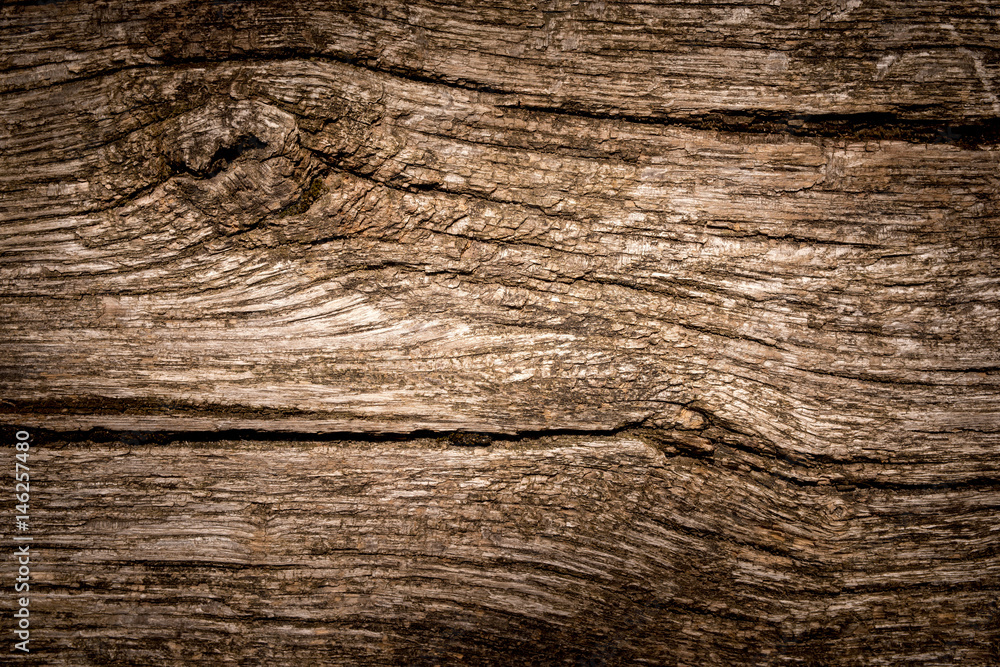 Holz Textur, altes, rustikales Brett aus Eichenholz als Hintergrund Holz Textur, altes, rustikales Brett aus Eichenholz als Hintergrund