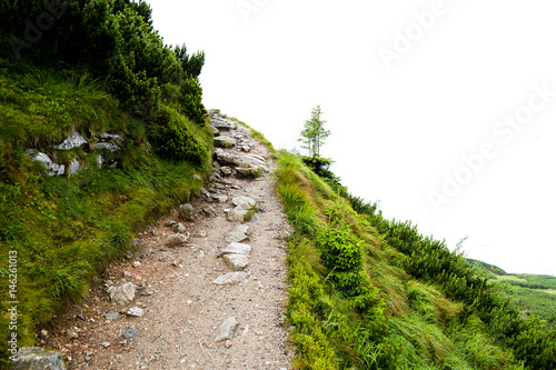 Beautiful Stone Path in High Mountain - Tatra National Park