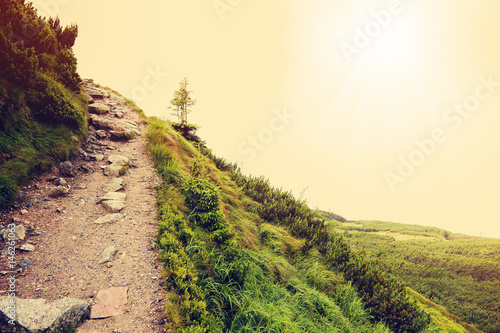 Beautiful Sunny Day.  Stone Path in High Mountain - Tatra National Park. (Filtered image:cross processed vintage effect).