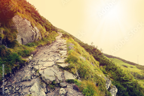 Beautiful Sunny Day.  Stone Path in High Mountain - Tatra National Park. (Filtered image:cross processed vintage effect).