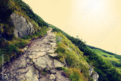 Beautiful Sunny Day.  Stone Path in High Mountain - Tatra National Park. (Filtered image:cross processed vintage effect).