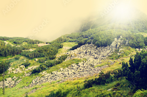 Beautiful High Mountain - Tatra National Park. (Filtered image:cross processed vintage effect)