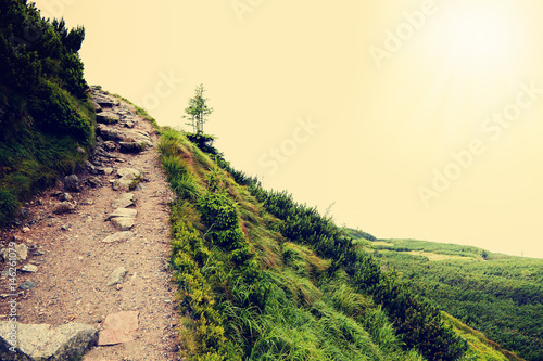 Beautiful Sunny Day.  Stone Path in High Mountain - Tatra National Park. (Filtered image:cross processed vintage effect).
