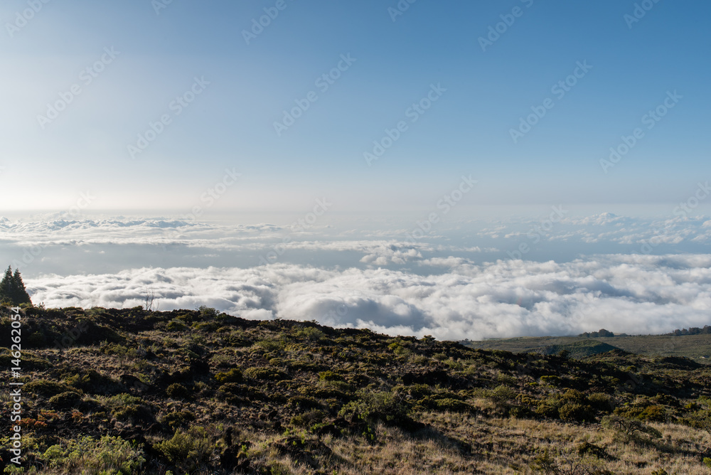 Above the clouds - on the road to Haleakala, Maui