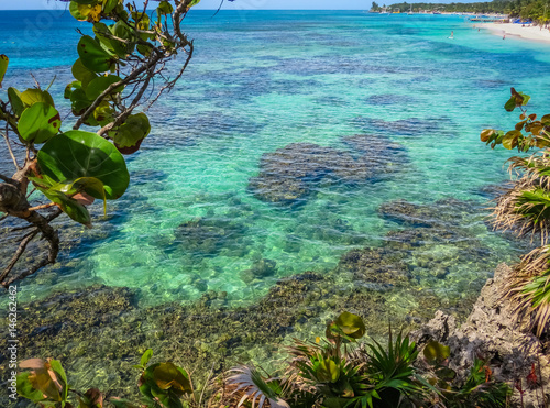 Roatan, Honduras blue ocean, reef, vegetation growing on rocks. Tropical exotic island, vacation, resort, sandy beach in the background